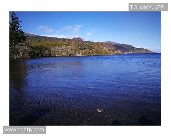 探索邓弗里斯的魅力之旅:历史文化与自然风光的完美结合 探索邓弗里斯的魅力之旅:历史文化与自然风光的完美结合